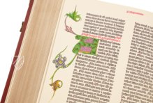Gutenberg-Bibel - 42-zeilige Bibel – Vicent Garcia Editores – Inc. 66 – Biblioteca Pública del Estado (Burgos, Spanien)