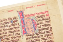 Hedwigs-Codex – Gebr. Mann Verlag – MS Ludwig XI 7 – J. Paul Getty Museum (Los Angeles, USA) Hedwigs-Codex – Gebr. Mann Verlag – MS Ludwig XI 7 – J. Paul Getty Museum (Los Angeles, USA)