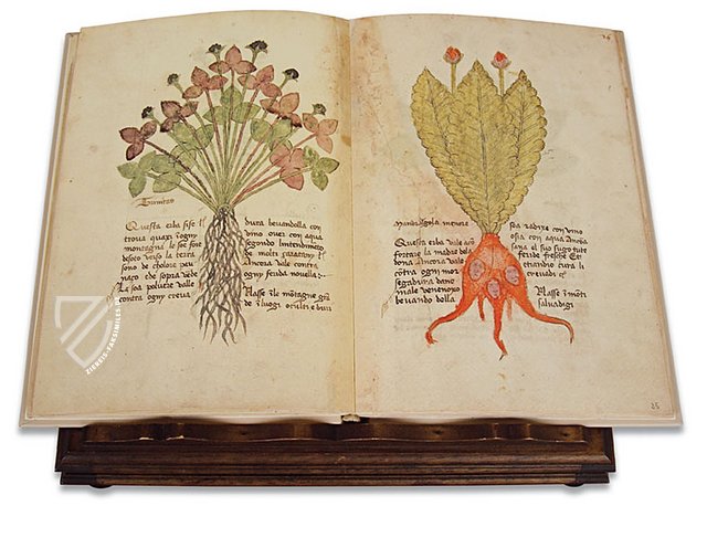 Herbarium von Trento – Castello del Buonconsiglio (Trento, Italien) Faksimile