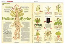 Herbarium von Trento – Priuli & Verlucca, editori – Museo provinciale del Castello del Buonconsiglio (Trento, Italien)