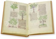 Herbolaire Estense – Est. 28 = alfa M. 5. 9 – Biblioteca Estense Universitaria (Modena, Italien) Faksimile