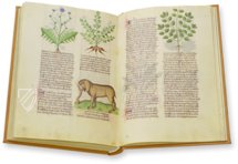 Herbolaire Estense – Imago – Est. 28 = alfa M. 5. 9 – Biblioteca Estense Universitaria (Modena, Italien)
