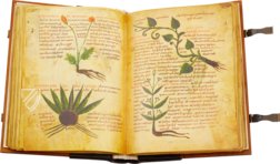 Herbolarium et Materia Medica – AyN Ediciones – ms. 296 – Biblioteca Statale di Lucca (Lucca, Italien)