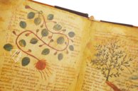 Herbolarium et Materia Medica – AyN Ediciones – ms. 296 – Biblioteca Statale di Lucca (Lucca, Italien)