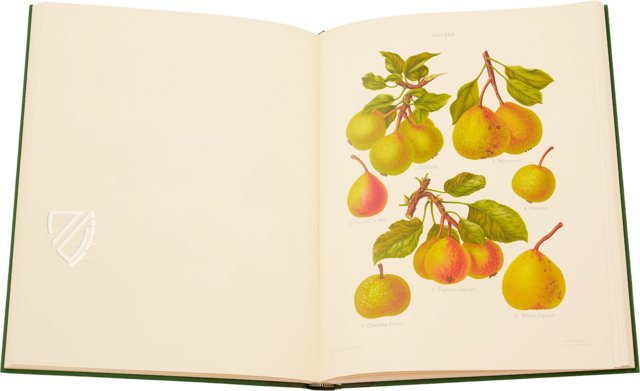 Herefordshire Pomona – The Folio Society – 