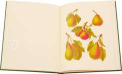 Herefordshire Pomona – The Folio Society – 