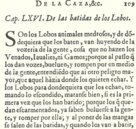 Herkunft und Würde von Caça – Vicent Garcia Editores – R/29683 – Biblioteca Nacional de España (Madrid, Spanien)