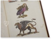 Historia Naturalis: De Avibus – Privatsammlung Faksimile