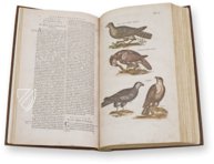 Historia Naturalis: De Avibus – Siloé, arte y bibliofilia – Privatsammlung