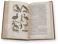 Historia Naturalis: De Avibus – Siloé, arte y bibliofilia – Privatsammlung