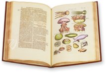 Historia Naturalis: De Exanguibus Acuaticis et Serpentibus – Privatsammlung Faksimile