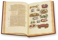 Historia Naturalis: De Exanguibus Acuaticis et Serpentibus – Siloé, arte y bibliofilia – Privatsammlung