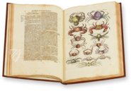 Historia Naturalis: De Exanguibus Acuaticis et Serpentibus – Siloé, arte y bibliofilia – Privatsammlung