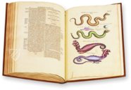 Historia Naturalis: De Exanguibus Acuaticis et Serpentibus – Siloé, arte y bibliofilia – Privatsammlung