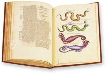 Historia Naturalis: De Exanguibus Acuaticis et Serpentibus – Siloé, arte y bibliofilia – Privatsammlung