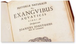 Historia Naturalis: De Exanguibus Acuaticis et Serpentibus – Siloé, arte y bibliofilia – Privatsammlung