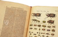 Historia Naturalis: De Insectis – Privatsammlung Faksimile