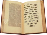 Historia Naturalis: De Insectis – Siloé, arte y bibliofilia – Privatsammlung