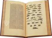 Historia Naturalis: De Insectis – Siloé, arte y bibliofilia – Privatsammlung