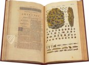 Historia Naturalis: De Insectis – Siloé, arte y bibliofilia – Privatsammlung