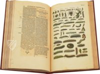 Historia Naturalis: De Insectis – Siloé, arte y bibliofilia – Privatsammlung