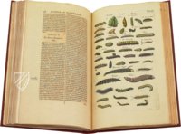 Historia Naturalis: De Insectis – Siloé, arte y bibliofilia – Privatsammlung