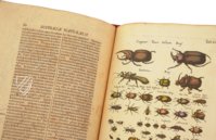 Historia Naturalis: De Insectis – Siloé, arte y bibliofilia – Privatsammlung