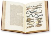 Historia Naturalis: De Piscibus et Cetis – Siloé, arte y bibliofilia – Privatsammlung