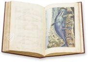 Historia Naturalis: De Piscibus et Cetis – Siloé, arte y bibliofilia – Privatsammlung