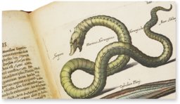 Historia Naturalis: De Piscibus et Cetis – Siloé, arte y bibliofilia – Privatsammlung