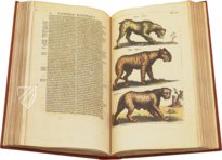 Historia Naturalis: De Quadrupedibus – Privatsammlung Faksimile