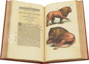 Historia Naturalis: De Quadrupedibus – Siloé, arte y bibliofilia – Privatsammlung