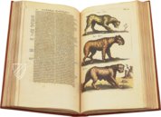 Historia Naturalis: De Quadrupedibus – Siloé, arte y bibliofilia – Privatsammlung