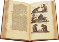 Historia Naturalis: De Quadrupedibus – Siloé, arte y bibliofilia – Privatsammlung