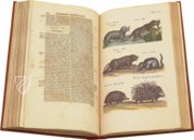 Historia Naturalis: De Quadrupedibus – Siloé, arte y bibliofilia – Privatsammlung