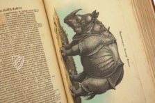 Historia Naturalis: De Quadrupedibus – Siloé, arte y bibliofilia – Privatsammlung