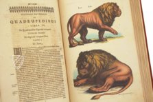 Historia Naturalis: De Quadrupedibus – Siloé, arte y bibliofilia – Privatsammlung