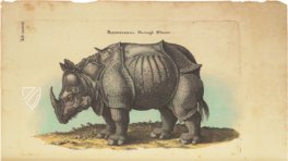 Historia Naturalis: De Quadrupedibus – Siloé, arte y bibliofilia – Privatsammlung