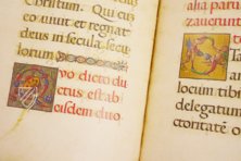 Höfisches Duett – Belser Verlag – Cod. Borg. Lat. 420 / Cod. Pal. Lat. 961 – Biblioteca Apostolica Vaticana (Vatikanstadt, Vatikanstadt)