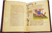 Höfisches Duett – Belser Verlag – Cod. Borg. Lat. 420 / Cod. Pal. Lat. 961 – Biblioteca Apostolica Vaticana (Vatikanstadt, Vatikanstadt)