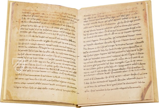 Homilien von Organyà – Ms. 289 – Biblioteca Nacional de Catalunya (Barcelona, Spanien) Faksimile