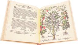 Hortus Eystettensis – Aboca Museum – SJ II 2892-2894 – Universitätsbibliothek (Eichstätt, Deutschland)