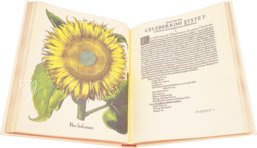 Hortus Eystettensis – Aboca Museum – SJ II 2892-2894 – Universitätsbibliothek Eichstätt-Ingolstadt (Eichstätt, Deutschland)