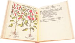 Hortus Eystettensis – Aboca Museum – SJ II 2892-2894 – Universitätsbibliothek Eichstätt-Ingolstadt (Eichstätt, Deutschland)