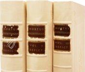 Hortus Eystettensis – Aboca Museum – SJ II 2892-2894 – Universitätsbibliothek Eichstätt-Ingolstadt (Eichstätt, Deutschland)