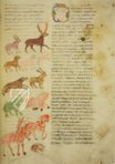 Hrabanus Maurus: De universo oder De rerum naturis – Cod. Casin. 132 – Archivio dell'Abbazia di Montecassino (Montecassino, Italien) Faksimile