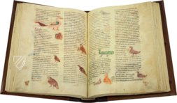 Hrabanus Maurus: De universo oder De rerum naturis – Priuli & Verlucca, editori – Cod. Casin. 132 – Archivio dell'Abbazia di Montecassino (Montecassino, Italien)