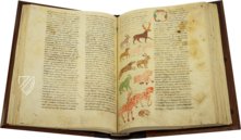 Hrabanus Maurus: De universo oder De rerum naturis – Priuli & Verlucca, editori – Cod. Casin. 132 – Archivio dell'Abbazia di Montecassino (Montecassino, Italien)