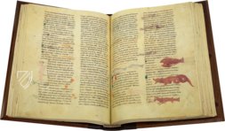 Hrabanus Maurus: De universo oder De rerum naturis – Priuli & Verlucca, editori – Cod. Casin. 132 – Archivio dell'Abbazia di Montecassino (Montecassino, Italien)