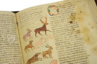 Hrabanus Maurus: De universo oder De rerum naturis – Priuli & Verlucca, editori – Cod. Casin. 132 – Archivio dell'Abbazia di Montecassino (Montecassino, Italien)